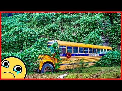 Abandoned School Bus. Old abandoned Yellow School Bus in USA. Abandoned Rusty School buses