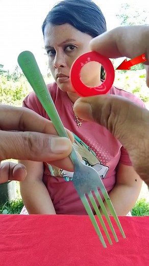 72K views · 366 reactions | Magic tricks | Sunnybird Bird | Facebook