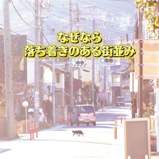 大学生のうちに行くべき観光地！！ フレセミ2026木曜日（Bチーム）