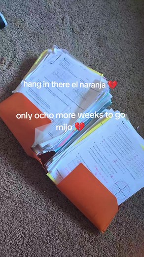 School Folder Hacks & Tips