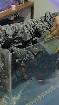 That's all it needed to make it perfect! 3D aquarium background!