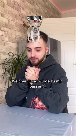 Welcher Hund passt zu mir? Hundetipps und Ratschläge