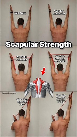 How to Build Scapular Strength - Scapular Wall Slide Exercises