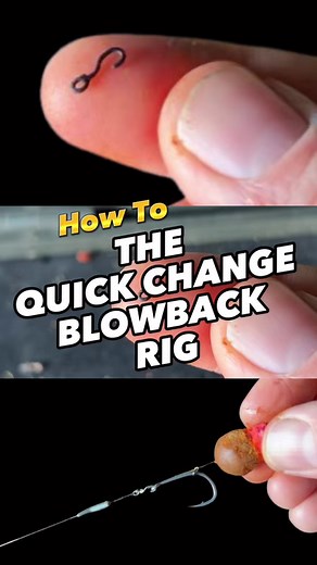 27K views · 143 reactions | How to tie the quick change blowback rig! | James Armstrong Angler | Facebook