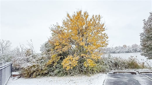 LIST: School closings/delays, snow emergencies