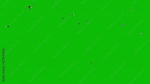 Visual effects, VFX, butterflies flying from above on green screen 3D animation