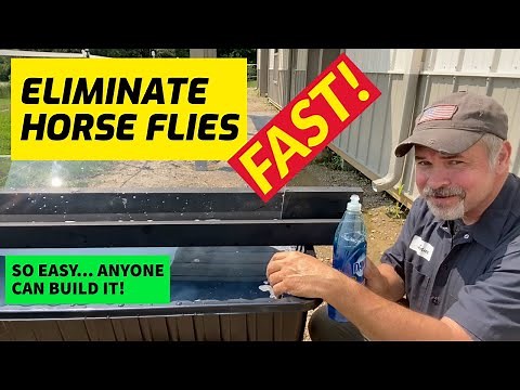 Get Rid of Horse Flies - How To Make The Best DIY Horse fly trap