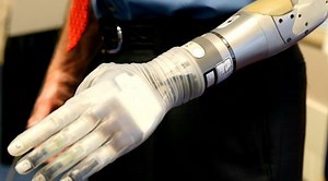 Interactive 3D models of human joints created