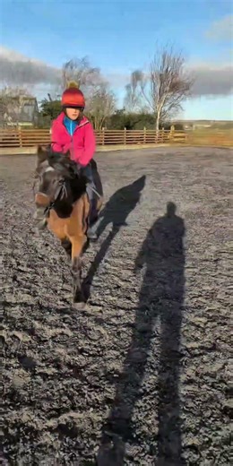 Just a girl playing with her pony. Both living their bestlife ❤️ #fyp #horse #pony #equestrian #fun