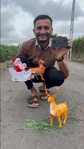 Realistic rc deer and rc santa cart unboxing