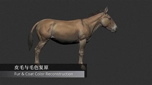 China-US scientists reconstruct extinct ancient horse using ancient DNA