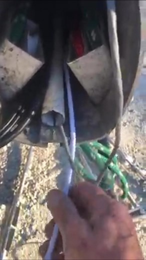 Rick Shortell on Reels