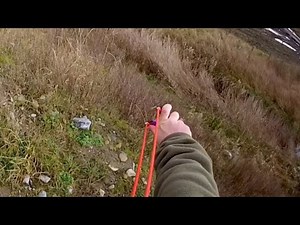 Pheasant hunting with slingshot / catapult