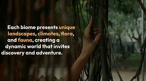 Expansive Map With Diverse Biomes