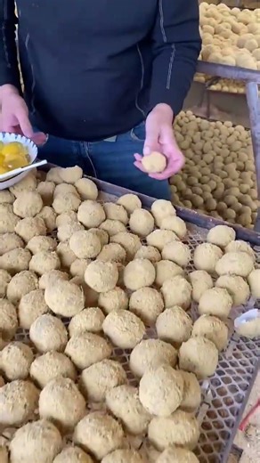 Unlimited Chinese Eggs Farm