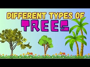 Learn about different types of Trees || Types of trees || Trees for kids || Kids Education Videos