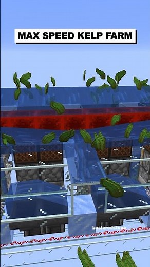 Max Speed Kelp Farm | Donut SMP #shorts
