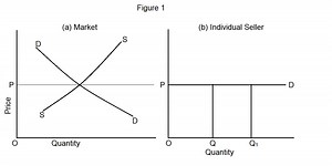 Meaning and Assumptions of Perfect Competition