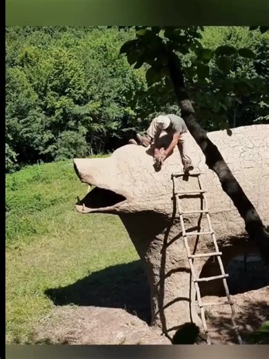 “Living off the land, building shelter the primitive way. Nature is the true home. 🔥🌿 #survival #bushcraft #primitivecamp #offgridliving #wildernesslife