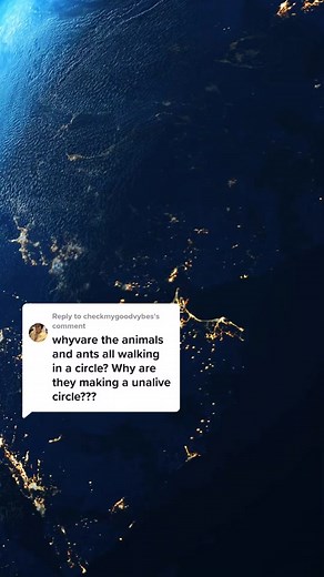 Unraveling the Mystery of Animals Circling