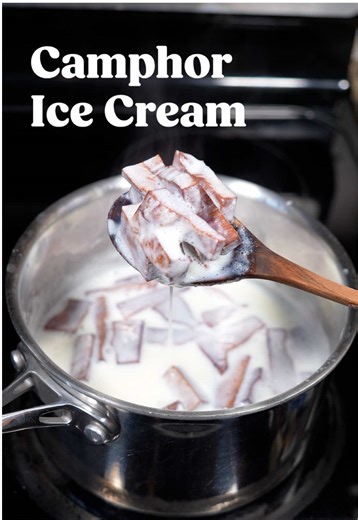 I’m happy to report that this ice cream did NOT send me to the hospital, and was merely pretty delicious! Also, here I was thinking I was being pretty original with this whole ice cream series, and turns out wood is just one of the oldest flavors around. Figures. #trees #woodworking #wood #icecream