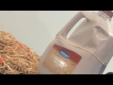 CHOCOLATE MILK EXPLOSION!!!!