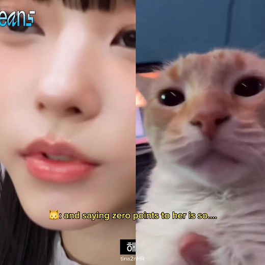 Haerin's Cute Cat Moments: New Jeans