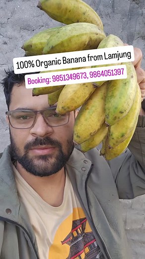 लमजुङको लोकल केरा आउँदै छ। Order चाहिँ Whatsapp मा गर्नु होला 9851349673 #smartkrishi #marketlinkage #smartkrishifresh #empowerment #localproducts | Smart कृषि