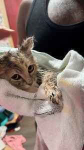 She just possessed at this point | Arielle Landford