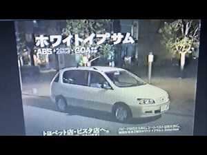 トヨタ イプサム CM