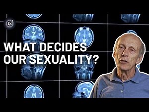 Can science explain our sexual orientation? | Experts Explain