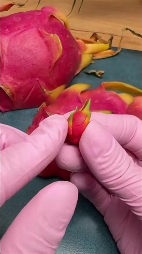 Miniature dragon fruit made from clay looks just like the real fruit