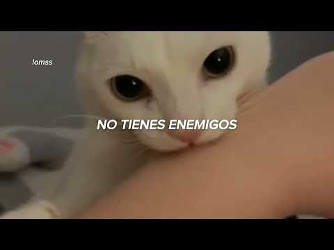 ''Pon atención, Thorfinn... no tienes enemigos'' || Letra
