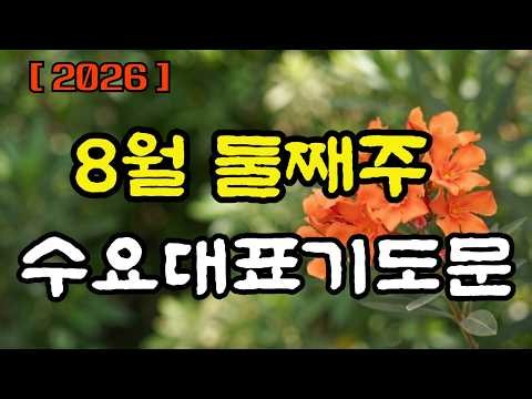 8월 둘째주 수요대표기도문ㅣ담백하고 진실한 고백으로 나아가는 수요예배 대표기도 예문 2가지 모음ㅣ8월 12일 수요기도회 준비