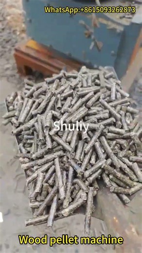 Wood Pellet Machine | High-Efficiency Biomass Pellet Production for Fuel & Feed