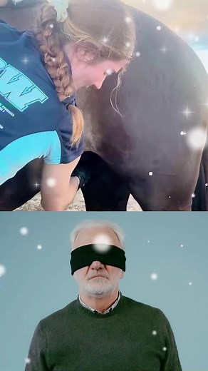 Horse Sheath Cleaning and horse care #horselife #horselove #lovehorse #carehorse #horsebreeding #meetinghorse #horsemeeting #breedinghorse #today #tiktok