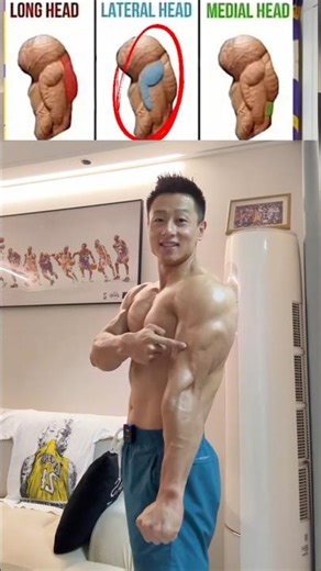 “Massive Triceps Growth in 10 Minutes 💪🔥” #growth #viral #grow #trend #short