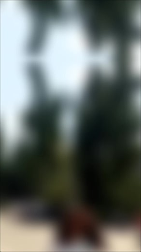 Celebrate Your Humble Self