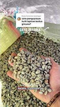 SEMIWASH COFFEE PROCESS WETHULLING / WET GRINDING. Gaius kept
