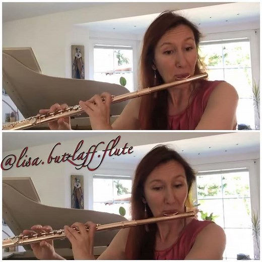 Sergei Prokofiev - Peter and the Wolf – Flute Solo / Flute Excerpt