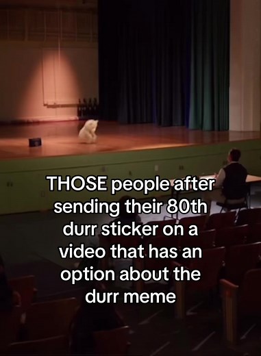 Understanding the Durr Meme Phenomenon