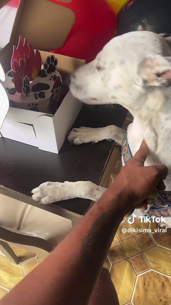 @🎂DULCES BENDICION🎂 #dikisimo😍😘