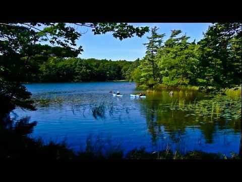 Pure Ludington - Simply Timeless