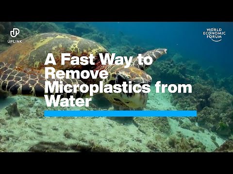 This Company has Invented a Fast Way to Remove Microplastics from Water | Uplink | WEF