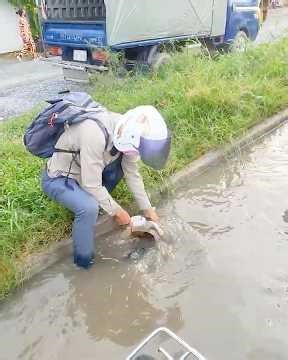 Satisfying Drain Cleaning Clears Flooded Street Fast #farming #drainunclogger