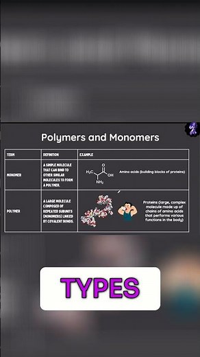 Macromolecules: Exploring 4 Key Polymers in Detail