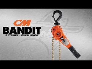 CM Bandit Lever Chain Hoist