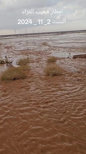 #القريات_الشمال_الجوف #القريات #طريف #امطار #امطاراليوم #اكسبلورexplore❥🕊🦋💚❤🕊️ #عاشق_البراري_ابو_اسامه_العبدلي