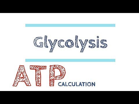 ATP calculation in Glycolysis, made it easy 【USMLE, biochemistry】