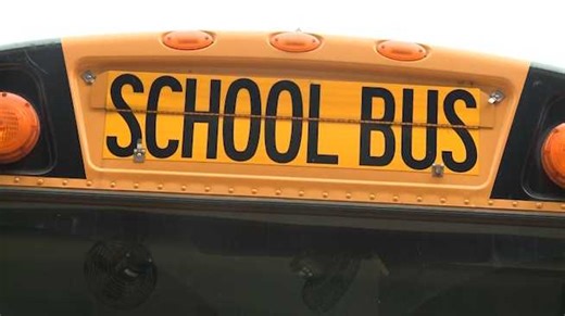 School bus driver had gun on school property, district officials say